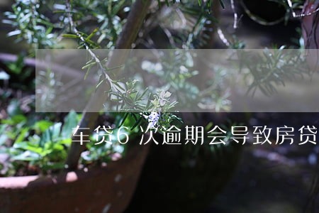 车贷6次逾期会导致房贷吗