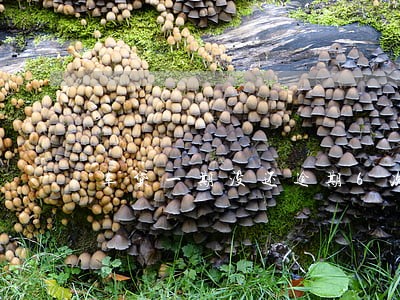 车贷一期没还逾期6次收车吗