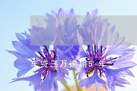 车贷三万逾期5年 车贷三万逾期5年