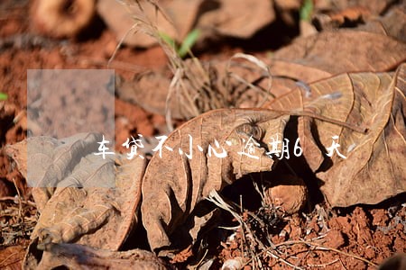 车贷不小心逾期6天 车贷不小心逾期6天
