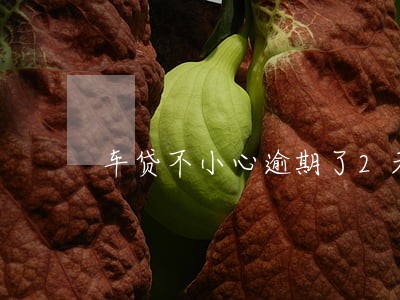 车贷不小心逾期了2天 车贷不小心逾期了2天