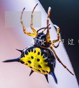 车贷不超过当天24小时算逾期吗 车贷不超过当天24小时算逾期吗