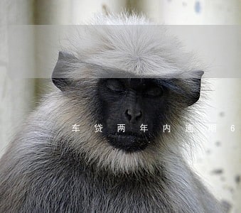 车贷两年内逾期6次