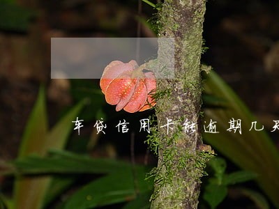 车贷信用卡能逾期几天 车贷信用卡能逾期几天