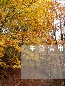 车贷信用卡能逾期多长时间 车贷信用卡能逾期多长时间