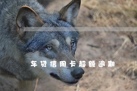 车贷信用卡超额逾期 车贷信用卡超额逾期