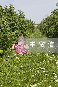 车贷信用卡逾期1天付违约金 车贷信用卡逾期1天付违约金