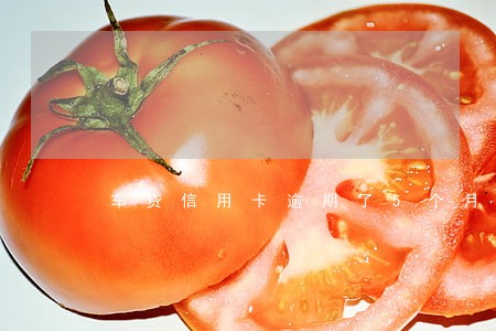 车贷信用卡逾期了5个月