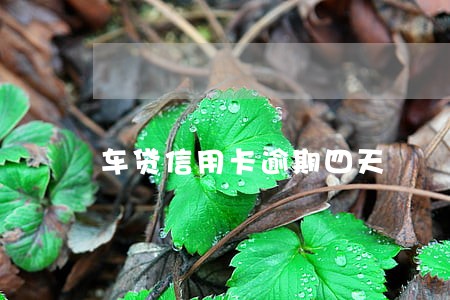 车贷信用卡逾期四天 车贷信用卡逾期四天