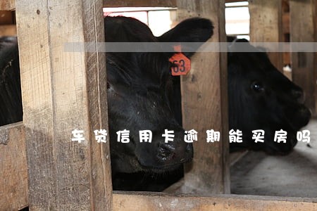 车贷信用卡逾期能买房吗 车贷信用卡逾期能买房吗
