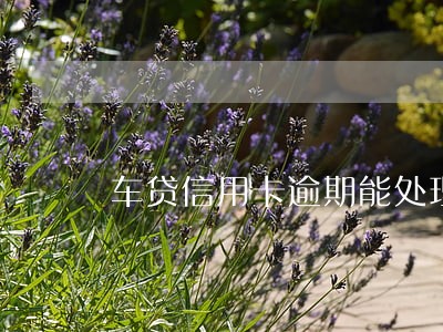 车贷信用卡逾期能处理吗 车贷信用卡逾期能处理吗