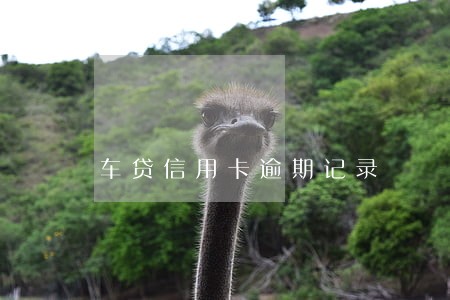 车贷信用卡逾期记录 车贷信用卡逾期记录
