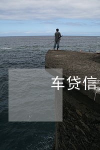 车贷信用卡逾期费用是什么