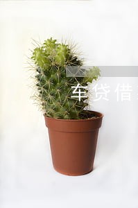 车贷借款5万逾期一天会怎样 车贷借款5万逾期一天会怎样
