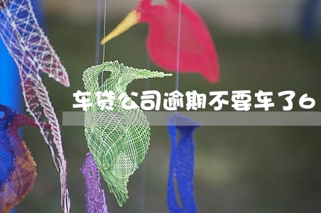车贷公司逾期不要车了6