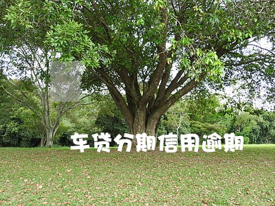 车贷分期信用逾期