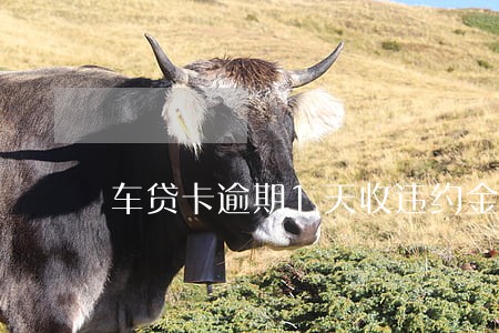 车贷卡逾期1天收违约金合法吗 车贷卡逾期1天收违约金合法吗