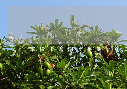 车贷卡逾期一星期100元 车贷卡逾期一星期100元