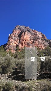 车贷卡逾期了银行收车吗 车贷卡逾期了银行收车吗