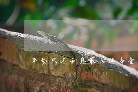 车贷只还利息最后还本金 车贷只还利息最后还本金