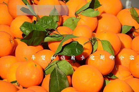 车贷和信用卡逾期哪个容易通过 车贷和信用卡逾期哪个容易通过