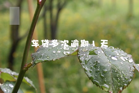 车贷多次逾期1天 车贷多次逾期1天