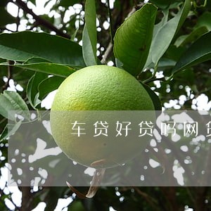 车贷好贷吗网贷有逾期 车贷好贷吗网贷有逾期
