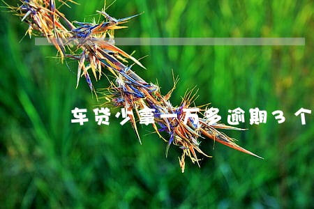 车贷少拿一万多逾期3个月 车贷少拿一万多逾期3个月