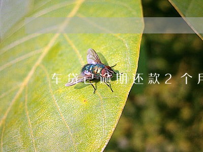 车贷已逾期还款2个月 车贷已逾期还款2个月