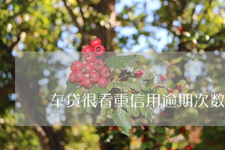车贷很看重信用逾期次数吗 车贷很看重信用逾期次数吗
