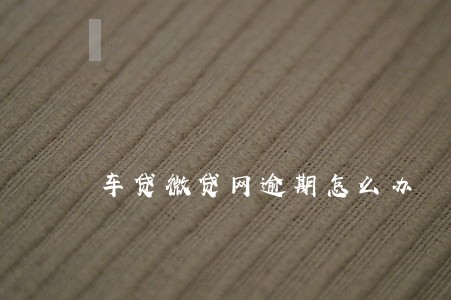 车贷微贷网逾期怎么办 车贷微贷网逾期怎么办