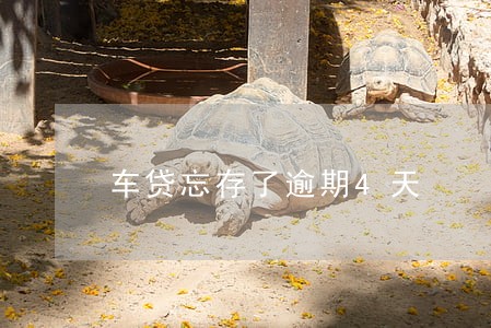 车贷忘存了逾期4天 车贷忘存了逾期4天