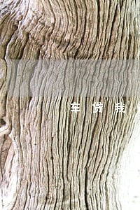 车贷我逾期2个月的 车贷我逾期2个月的