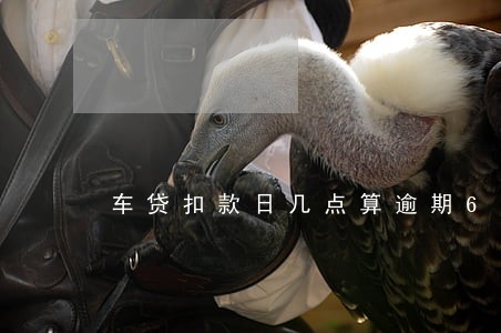 车贷扣款日几点算逾期6 车贷扣款日几点算逾期6