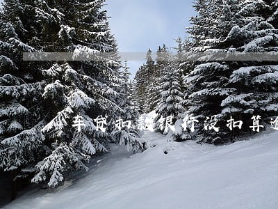 车贷扣款银行没扣算逾期吗 车贷扣款银行没扣算逾期吗