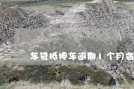 车贷抵押车逾期1个月会被拖走吗 车贷抵押车逾期1个月会被拖走吗