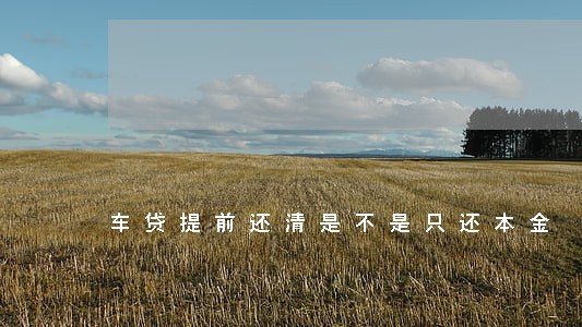 车贷提前还清是不是只还本金 车贷提前还清是不是只还本金