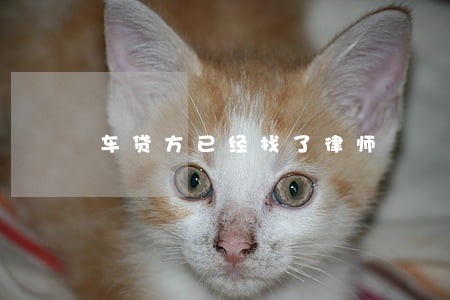 车贷方已经找了律师 车贷方已经找了律师