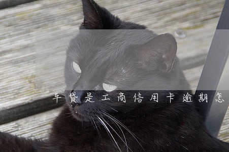 车贷是工商信用卡逾期怎么办 车贷是工商信用卡逾期怎么办