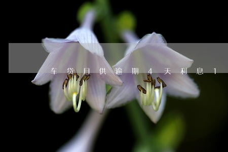 车贷月供逾期4天利息1300 车贷月供逾期4天利息1300