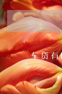 车贷有网贷逾期怎么办