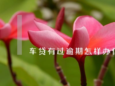 车贷有过逾期怎样办信用卡 车贷有过逾期怎样办信用卡