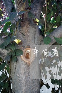 车贷有过逾期还能办信用卡吗 车贷有过逾期还能办信用卡吗
