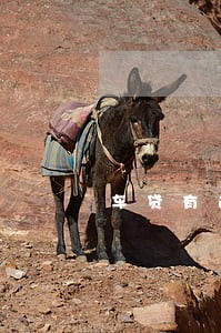 车贷有逾期能不能办信用卡 车贷有逾期能不能办信用卡