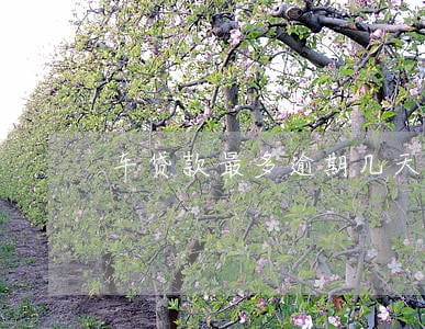车贷款最多逾期几天
