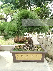 车贷款能逾期几天 车贷款能逾期几天