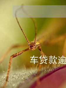 车贷款逾期一天会影响征信吗