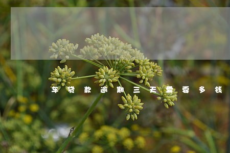车贷款逾期三天需要多钱钱 车贷款逾期三天需要多钱钱
