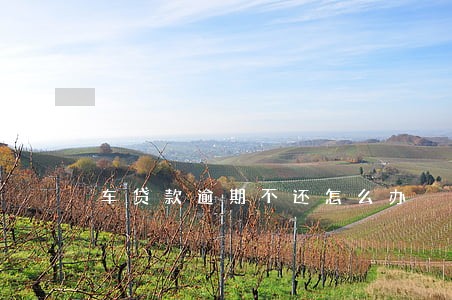 车贷款逾期不还怎么办 车贷款逾期不还怎么办