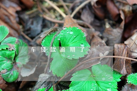 车贷款逾期了 车贷款逾期了